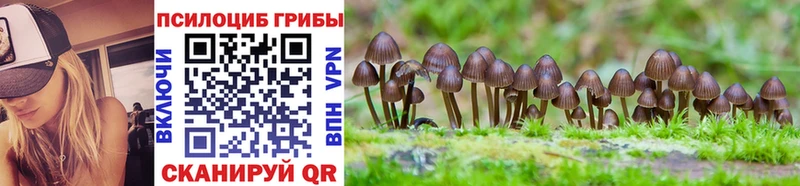 Псилоцибиновые грибы Psilocybine cubensis цена наркотик Александров